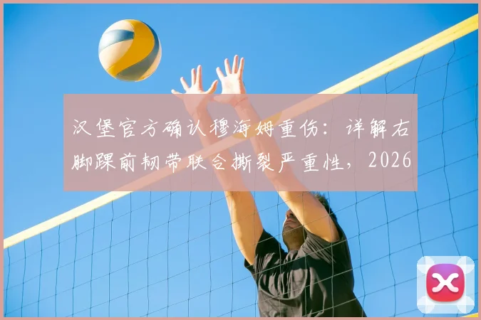 汉堡官方确认穆海姆重伤:详解右脚踝前韧带联合撕裂严重性,2026赛季报销对球队影响及恢复时间预估